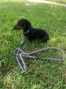 Patriotic Pup - Single and Double Leashes