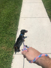 Load image into Gallery viewer, Patriotic Pup - Single and Double Leashes
